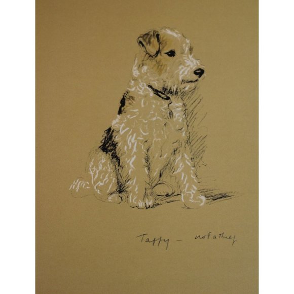 Lucy Dawson Dog Print Wire Haired Terrier Taffy 90549 - Picture 1 of 5